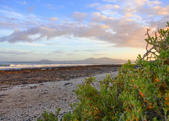 Casa Brando コラレホ